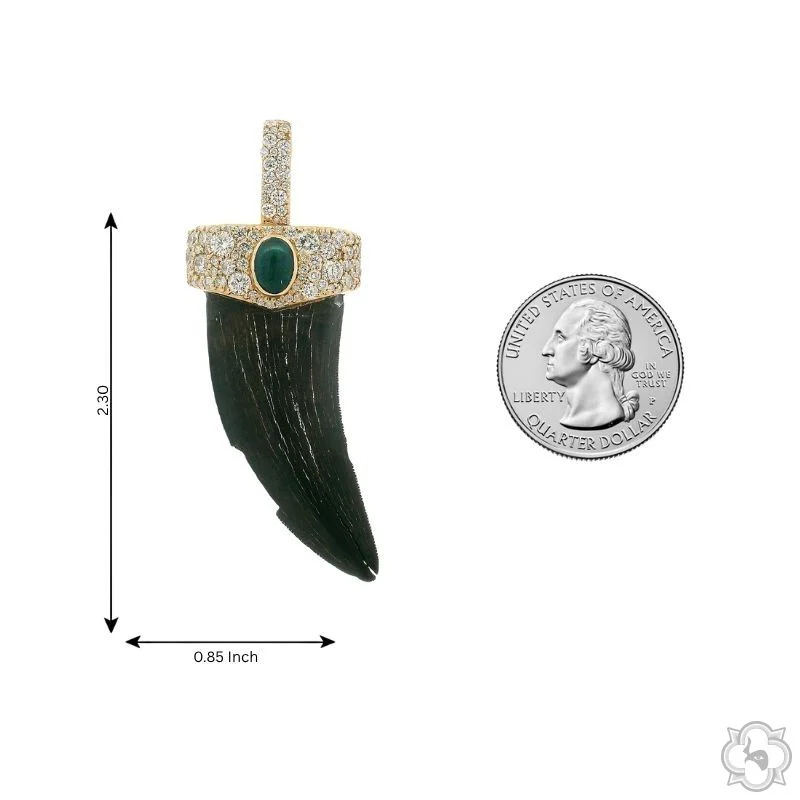 1209-t-rex-broken-fossil-pendant-70890-10.webp T-Rex Broken Fossil Pendant 70890