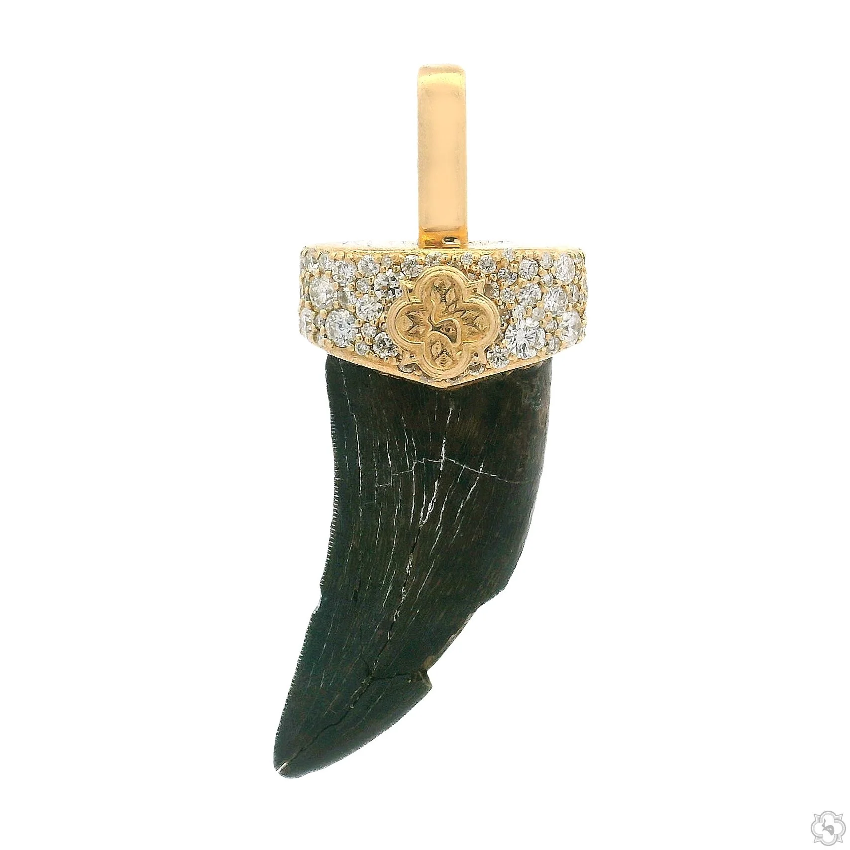 1209-t-rex-broken-fossil-pendant-70890-4.webp T-Rex Broken Fossil Pendant 70890