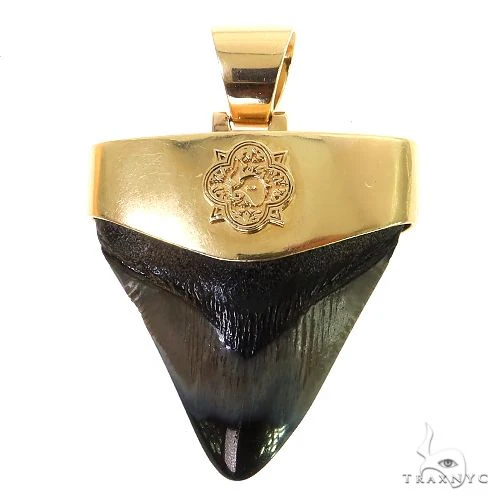 The Time Travel Megalodon Shark Tooth Pendant Small 68891